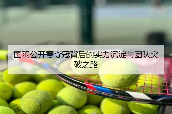 国羽公开赛夺冠背后的实力沉淀与团队突破之路