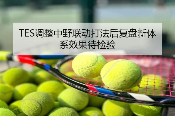 TES调整中野联动打法后复盘新体系效果待检验
